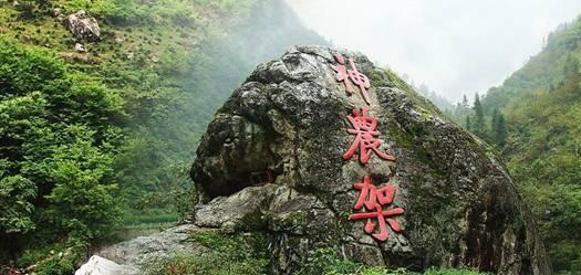 荒岛枪训